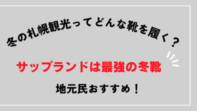 札幌 靴 なにはけばいい